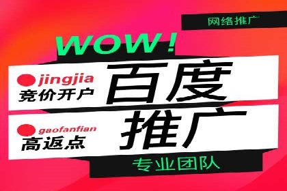 探索信息流广告投放公司的成功案例与经验